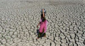 food crises (1)