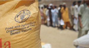 food crises (5)