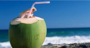 summer drinks (3)