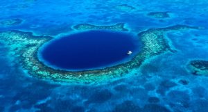 Natural Phenomena (4)