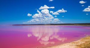 Natural Phenomena (5)