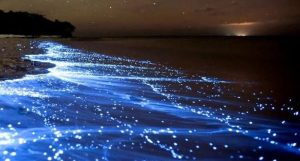 Natural Phenomena (6)