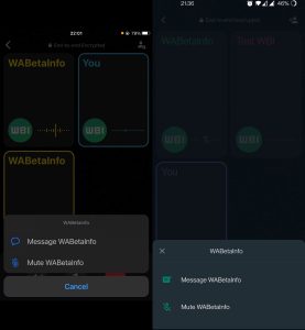 _MUTE_MESSAGE_GROUP_CALL