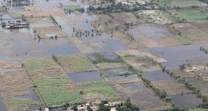 Pakistan (4)