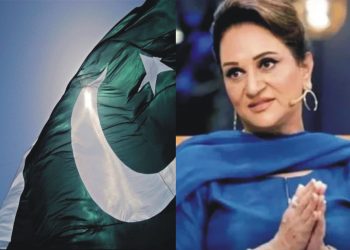 14 اگست پر جھنڈے نہ خریدیں، بشریٰ انصاری کا مداحوں کو مشورہ