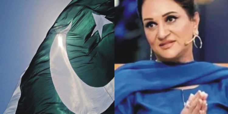 14 اگست پر جھنڈے نہ خریدیں، بشریٰ انصاری کا مداحوں کو مشورہ