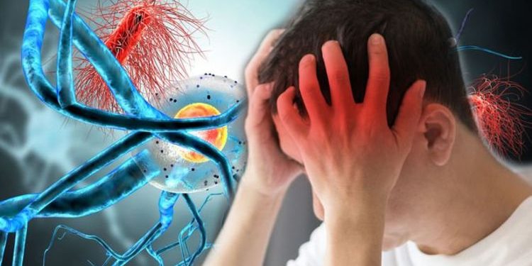 موٹاپا اور ذہنی بیماریوں کے درمیان تعلق پر نئی تحقیق