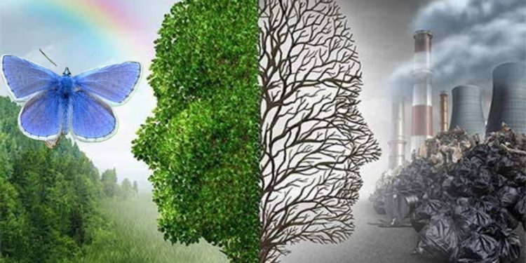 شدیدگرمی کے باعث ملک بھر میں موسمیاتی ایمرجنسی کامطالبہ