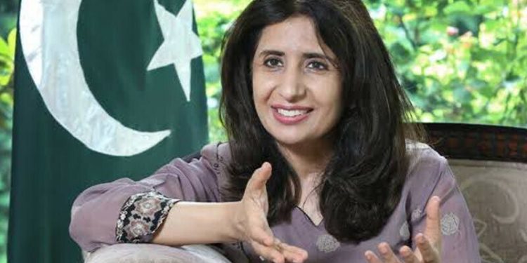 پاکستان نے پی ٹی آئی پر پابندی سے متعلق امریکی تحفظات کو مداخلت قرار دے دیا