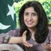 پاکستان نے پی ٹی آئی پر پابندی سے متعلق امریکی تحفظات کو مداخلت قرار دے دیا