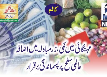 مہنگائی میں کمی، زرمبادلہ میں اضافہ، عالمی سطح پر پسماندگی برقرار