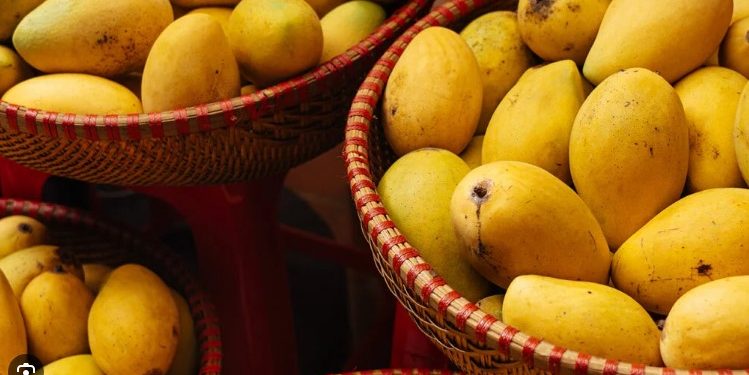 آم کی برآمدات سے 4 کروڑ 67 لاکھ ڈالرز کا زر مبادلہ حاصل