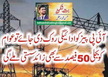 آئی پی پیزکوادائیگی روک دی جائے توعوام کوبجلی50فیصد سے بھی زائد سستی ملے گی