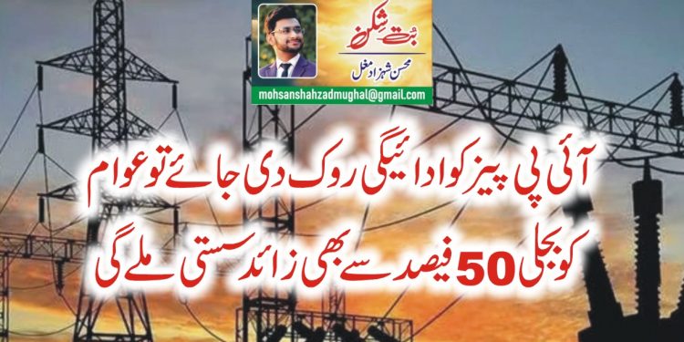 آئی پی پیزکوادائیگی روک دی جائے توعوام کوبجلی50فیصد سے بھی زائد سستی ملے گی