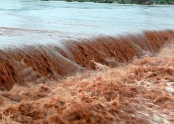 بارشوں اور سیلابی ریلوں نے پاکستان بھر میں تباہی مچا دی