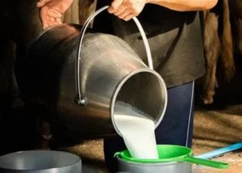 راولپنڈی کے عوام دودھ اور دہی کی بڑھتی قیمتوں سے پریشان