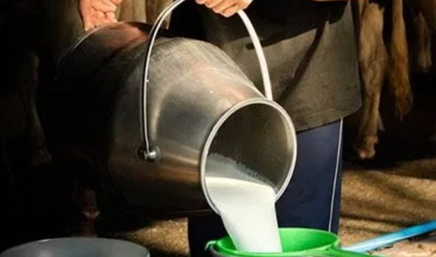 راولپنڈی کے عوام دودھ اور دہی کی بڑھتی قیمتوں سے پریشان