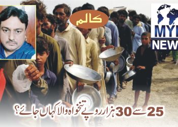25سے 30 ہزار روپے تنخواہ والا کہاں جائے؟