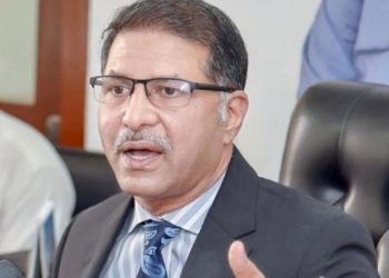 حکومت وقت گزارنے اور بندے توڑنے کے لیے قانون لا رہی ہے:علی ظفر