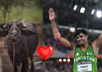 سسر سے بھینس کی جگہ زمین چاہیے، ارشد ندیم کی مزاحیہ درخواست