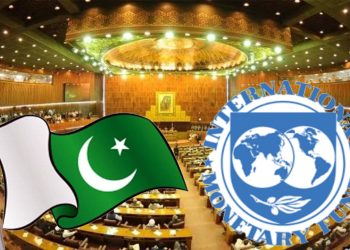 پاکستان کی جانب سے آئی ایم ایف کو 3 ارب 60 کروڑ ڈالر سود کی ادائیگی: اقتصادی امور کمیٹی کا انکشاف