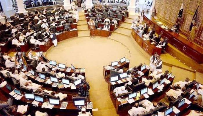 خیبرپختونخوا اسمبلی کا ریاستی اداروں سے آئینی حدود میں رہ کر کام کرنے کا مطالبہ