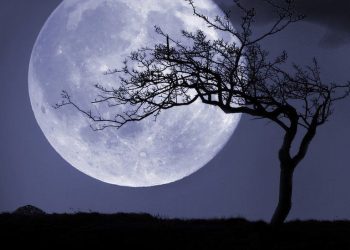 رواں سال کا پہلا سپر بلیو مون کل پاکستان کے آسمان پر جلوہ گر ہوگا
