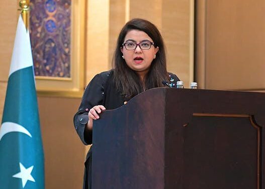 پاکستان میں انٹرنیٹ بندش کا الزام مسترد، وی پی این کے استعمال سے رفتار کم ہوئی: وزیر آئی ٹی