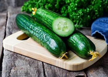 ٹک ٹاک کے وائرل ٹرینڈ کی وجہ سے آئس لینڈ میں کھیروں کی قلت