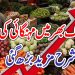 پیاز اور ٹماٹر کی قیمتیں آسمان پر