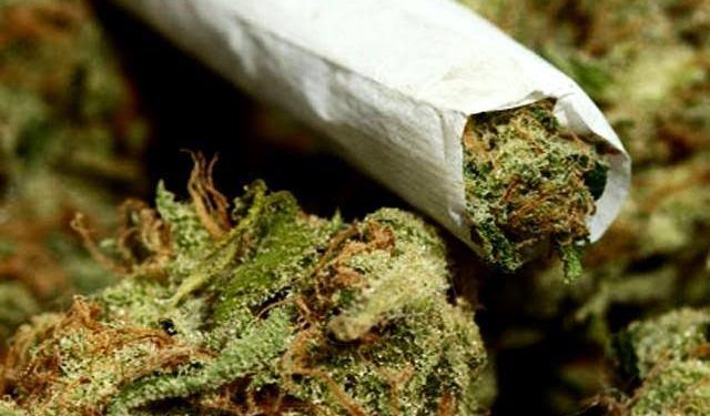 چرس کا استعمال، کینسر کا خطرہ؟ نئی تحقیق نے چونکا دیا