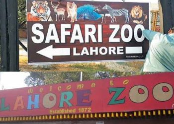 لاہور سفاری زو کے اوقات کار میں تبدیلی، یکم اکتوبر سے نئی ٹائمنگز کا اعلان