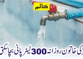 ہر گھر کی خاتون روزانہ 300 لیٹر پانی بچا سکتی ہے