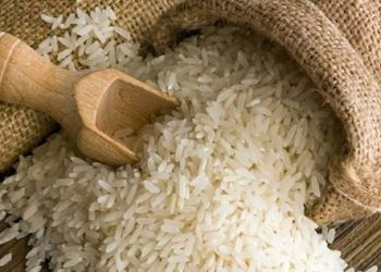 رواں سال چاول کی برآمدات میں تاریخی اضافہ