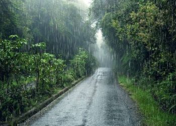 پنجاب مزید کتنے دن بارشوں میں زد میں رہے گا؟الرٹ جاری