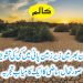 پاکستان بھر میں زیر زمین پانی میں کمی کی تشویشناک صورتحال ، ماضی کا ایک کامیاب تجربہ