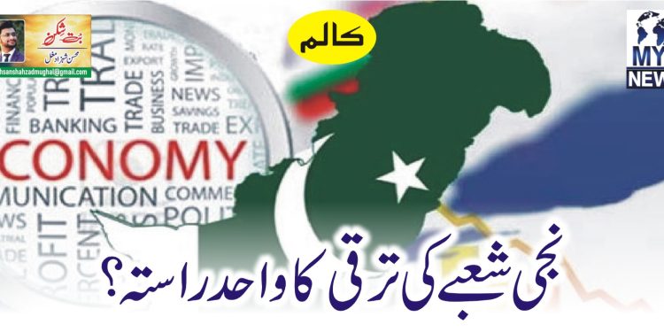 نجی شعبے کی ترقی کا واحد راستہ؟