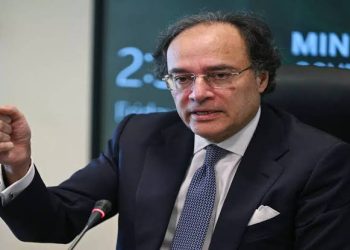 سعودی عرب سے ادھار تیل خریداری پر مذاکرات جاری ہیں، وزیر خزانہ