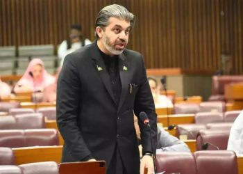 سینیٹ مکمل نہیں، ترامیم کیسے منظور ہو سکتی ہیں؟ علی محمد خان کا سوال