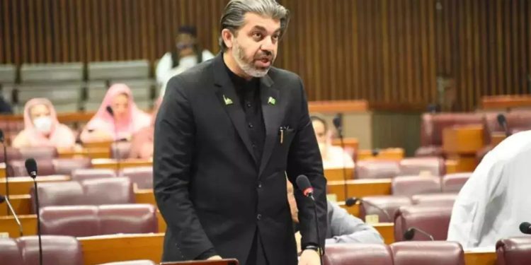 سینیٹ مکمل نہیں، ترامیم کیسے منظور ہو سکتی ہیں؟ علی محمد خان کا سوال