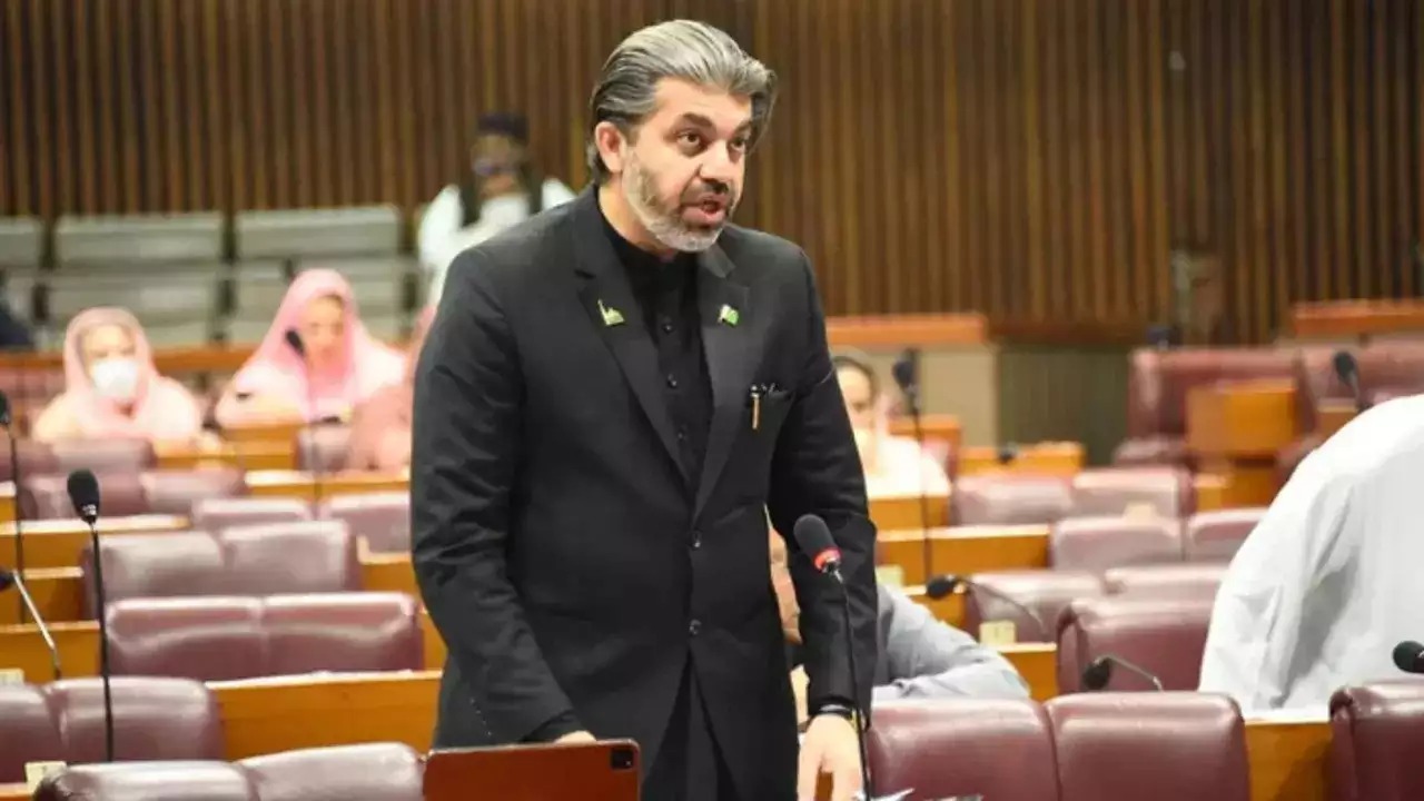 سینیٹ مکمل نہیں، ترامیم کیسے منظور ہو سکتی ہیں؟ علی محمد خان کا سوال