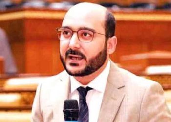 مسلم لیگ ن سیاسی وعدوں کو پورا نہیں کر رہی:علی حیدر گیلانی