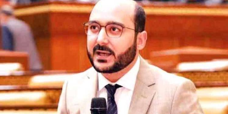 مسلم لیگ ن سیاسی وعدوں کو پورا نہیں کر رہی:علی حیدر گیلانی