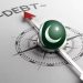2024 میں وفاقی حکومت کے قرضوں میں 3 ہزار 919 ارب روپے اضافہ