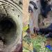3 دن تک کنویں میں پھنسے شخص کو زندہ نکال لیا گیا