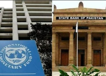 چینی بینکوں، بشمول چائنا ڈیویلپمنٹ بینک اور انڈسٹریل کمرشل بینک آف چائنا، سے 7 سے 8 فیصد سود پر قرض لیا گیا