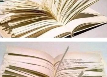 صرف 10صفحات کی کتاب میں ایک سو ٹریلین نظمیں