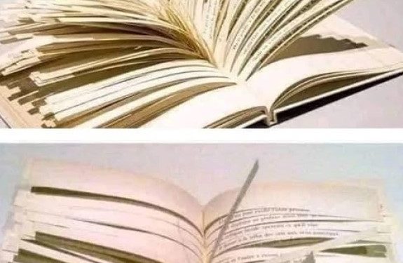 صرف 10صفحات کی کتاب میں ایک سو ٹریلین نظمیں
