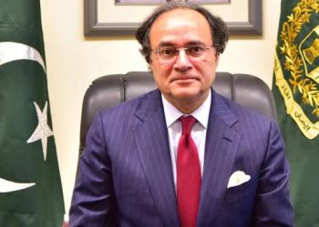 معیشت کے استحکام کے لیے چینی سرمایہ کاری ناگزیر:وزیر خزانہ