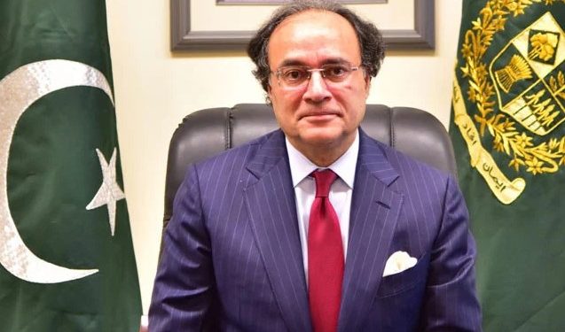 معیشت کے استحکام کے لیے چینی سرمایہ کاری ناگزیر:وزیر خزانہ